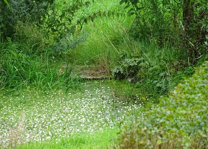 Urselhof
